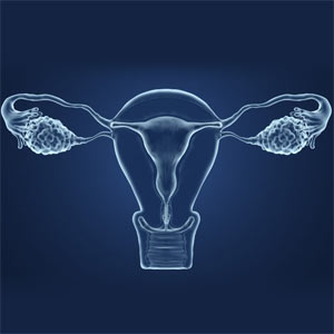 Natural Fertility & Gynaecological