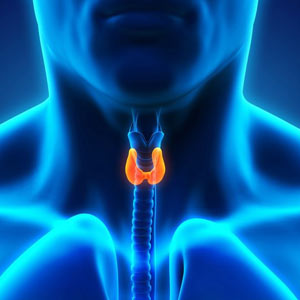 Thyroid Conditions